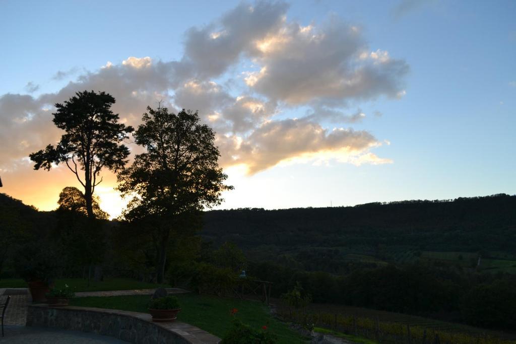 Agriturismo Lapone Orvieto Eksteriør bilde